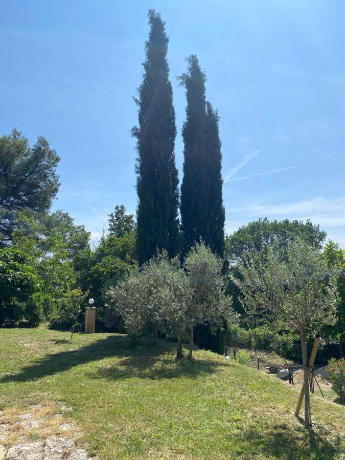Vaugines Les Oliviers 빌라 외부 사진